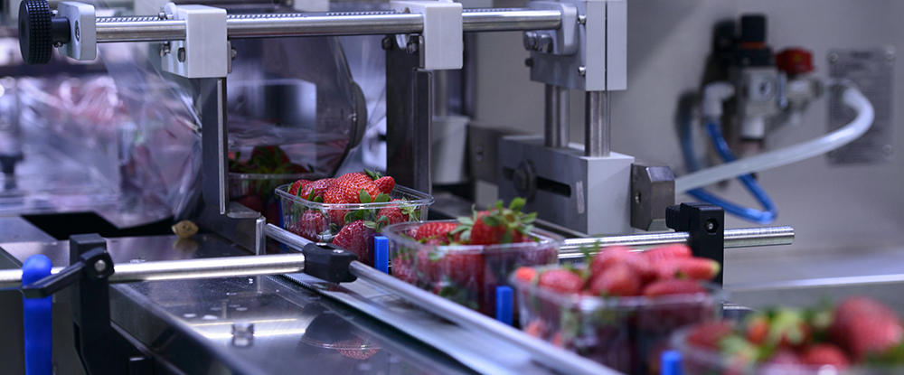 Ventajas de una Grasa de Calidad Alimentaria